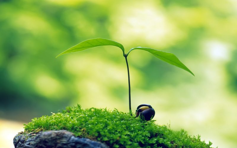 Build Your Life and Your Career Build Your Life and Your Career